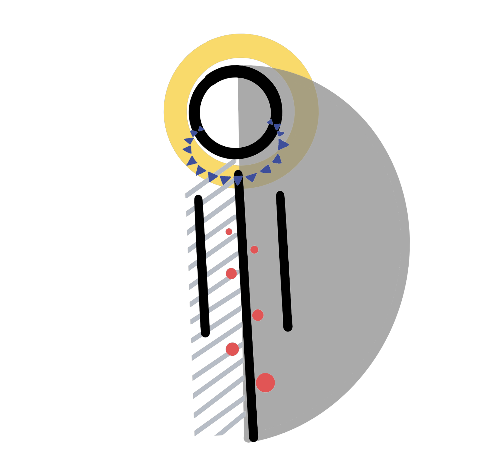 put a description here or you will lose grades