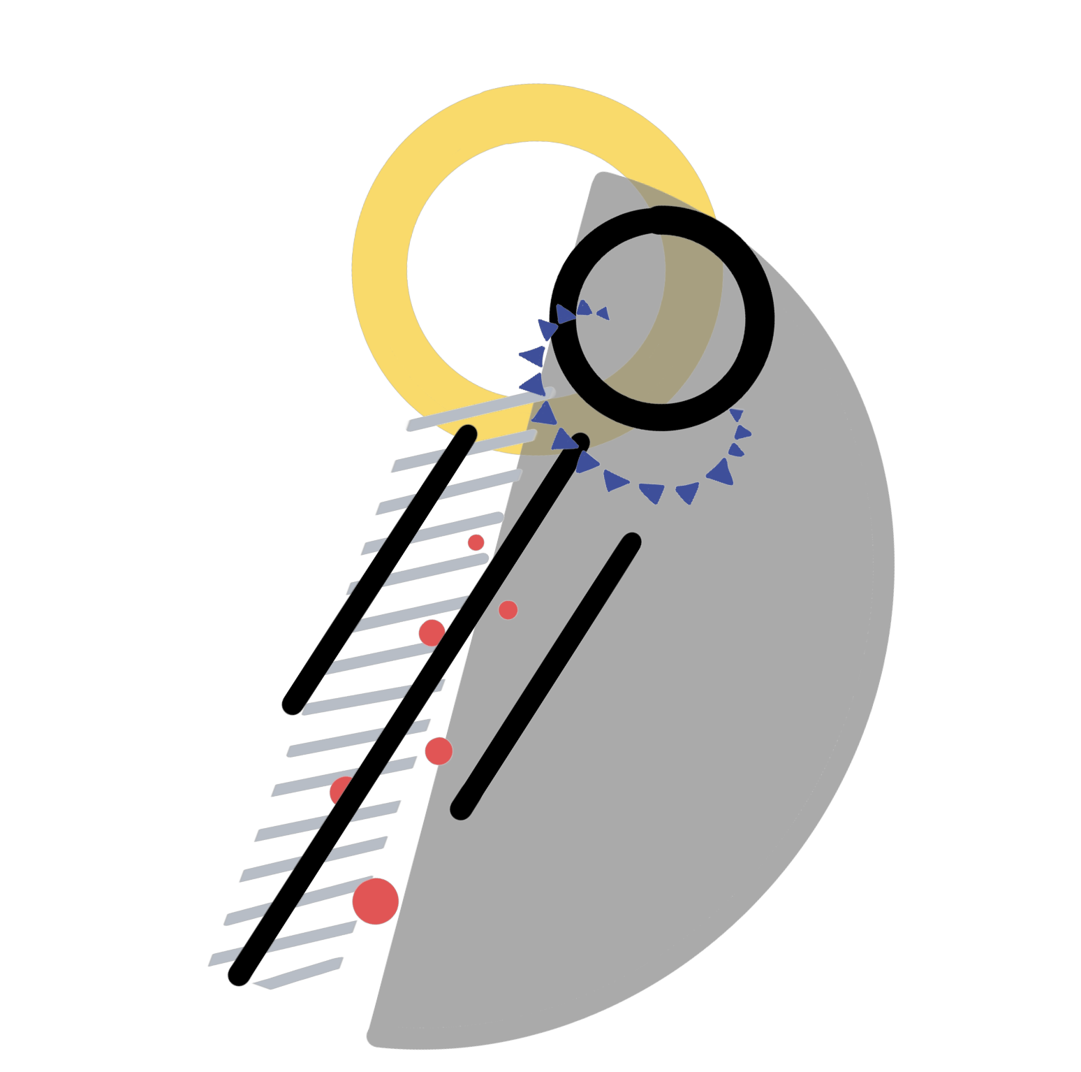 put a description here or you will lose grades