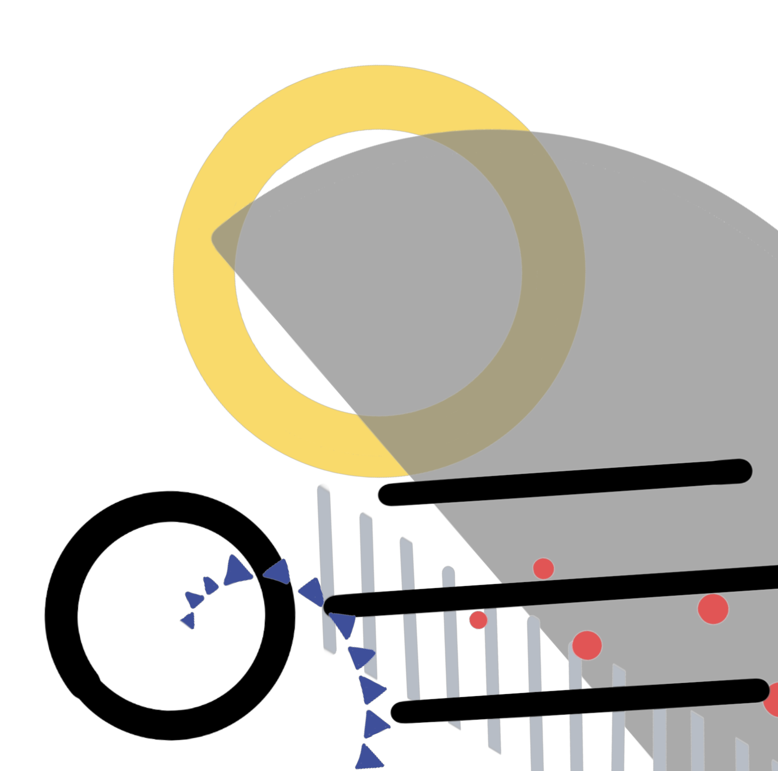 put a description here or you will lose grades